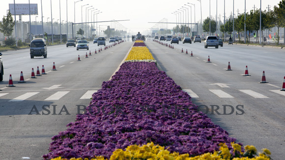 Longest Carpet of Flowers