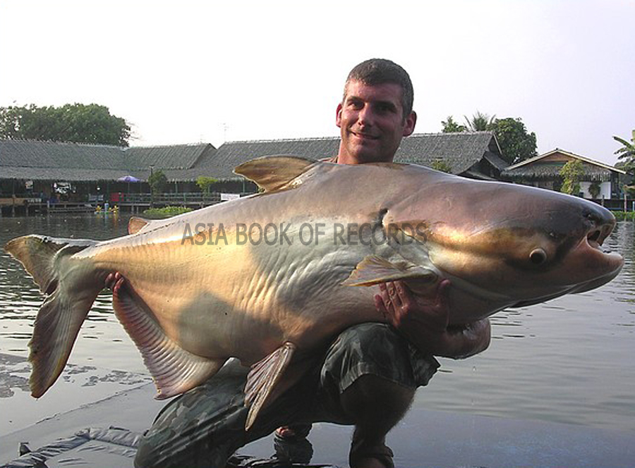 BIGGEST FRESHWATER FISH EVER CAUGHT | Asia Book of Records