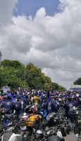 LARGEST DISTRIBUTION OF TULSI SAPLINGS IN A SINGLE DAY 006